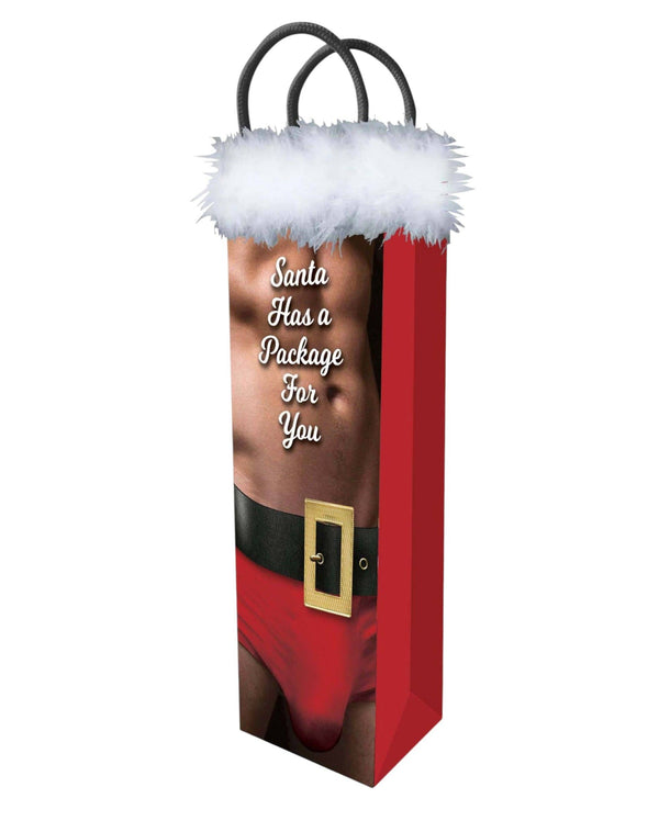 ‼️SALE‼️ Holiday Santa Has a Package for You Gift Bag