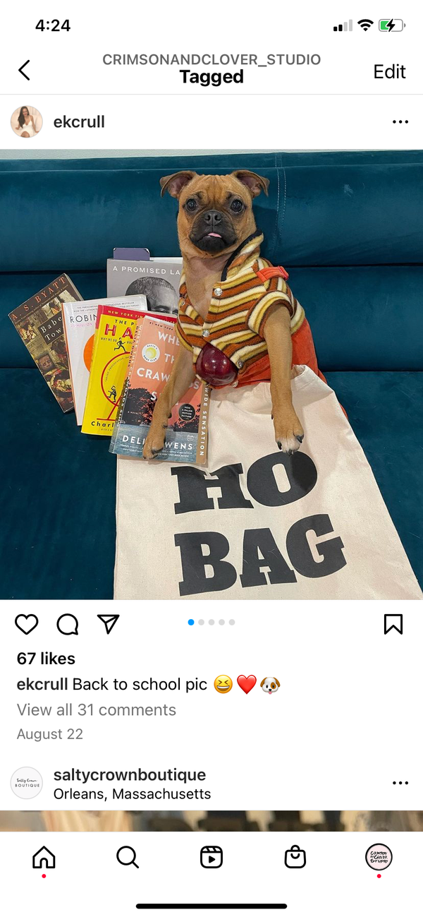 Ho Bag Funny Tote Bag