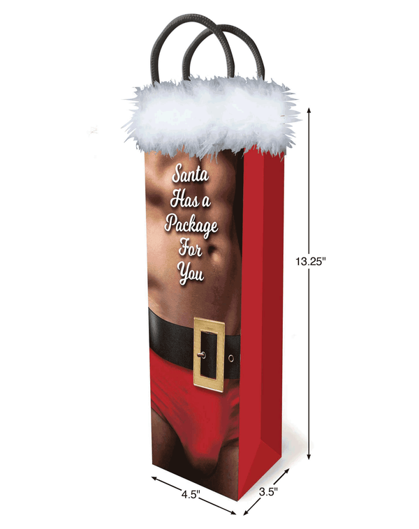 ‼️SALE‼️ Holiday Santa Has a Package for You Gift Bag
