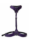 Punishment Body Harness - Silver