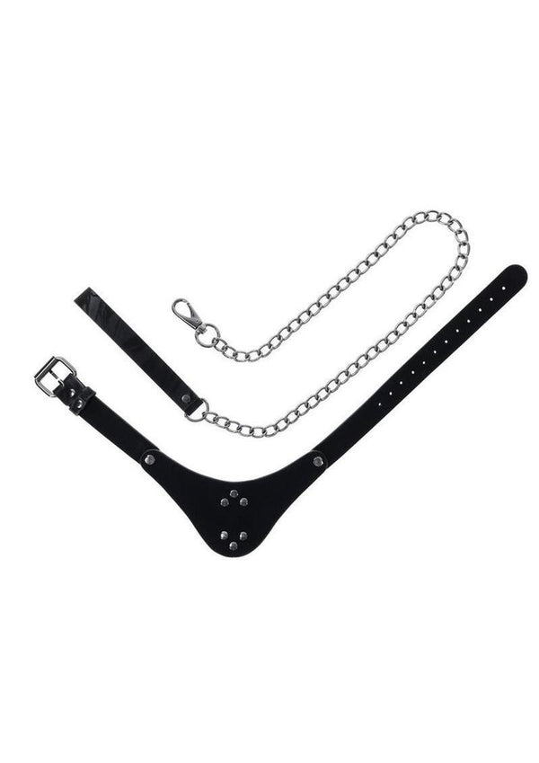 Velvet Noir Collar and Leash