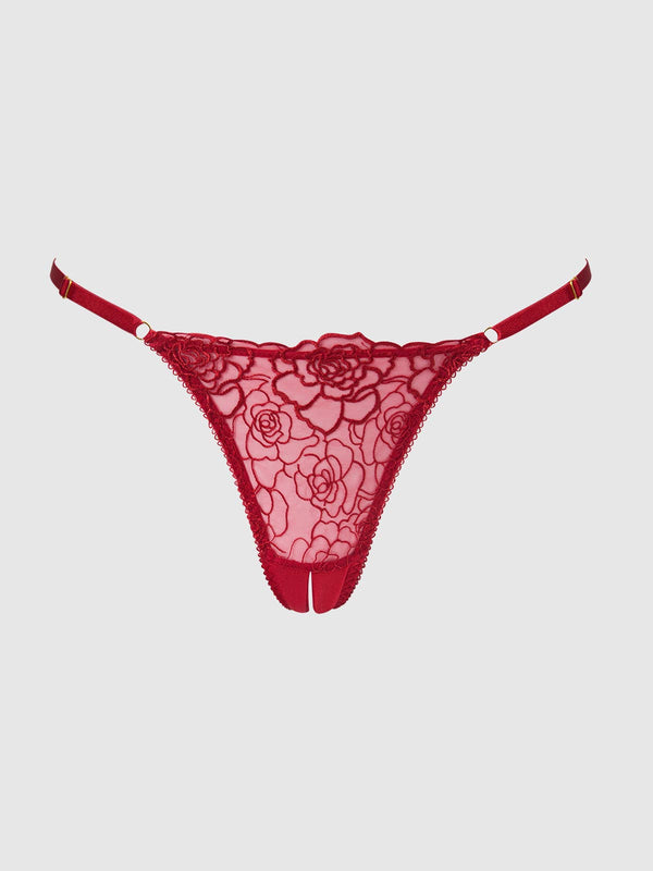 ROSALIE EMBROIDERED LACE & MESH CROTCHLESS THONG