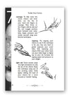 Tickle Your Fancy Womans Guide to Sexual Self Pleasure Book By Dr. Sadie Allison